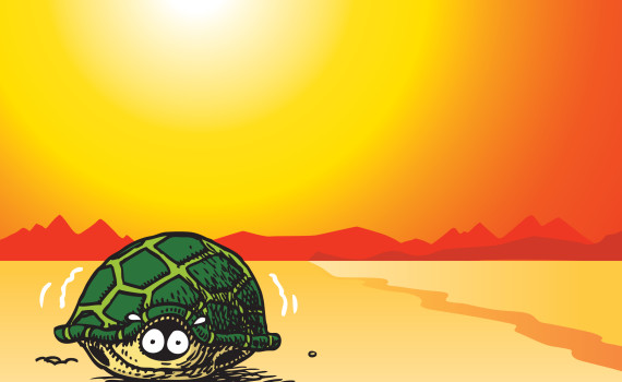 Scared Turtle-Exp May Not Be Best Teacher