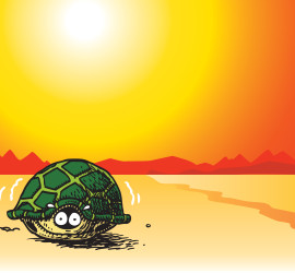 A turtle is sitting on the beach in front of the sun.