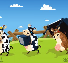 A group of cows are running in the grass.
