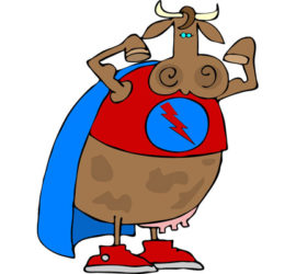 A cow is wearing a cape and boots.